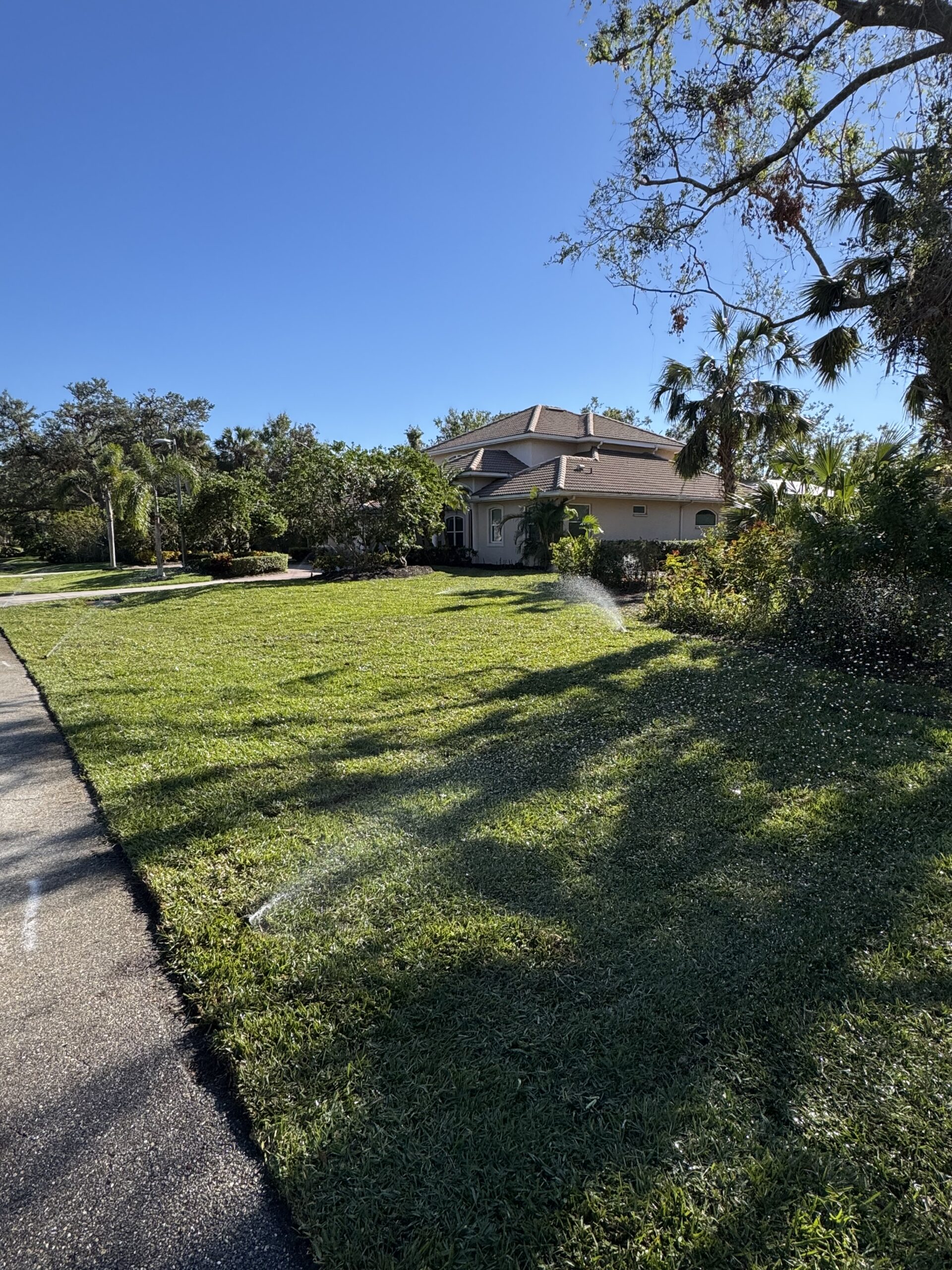 Same yard after professional sod installation with lush green lawn