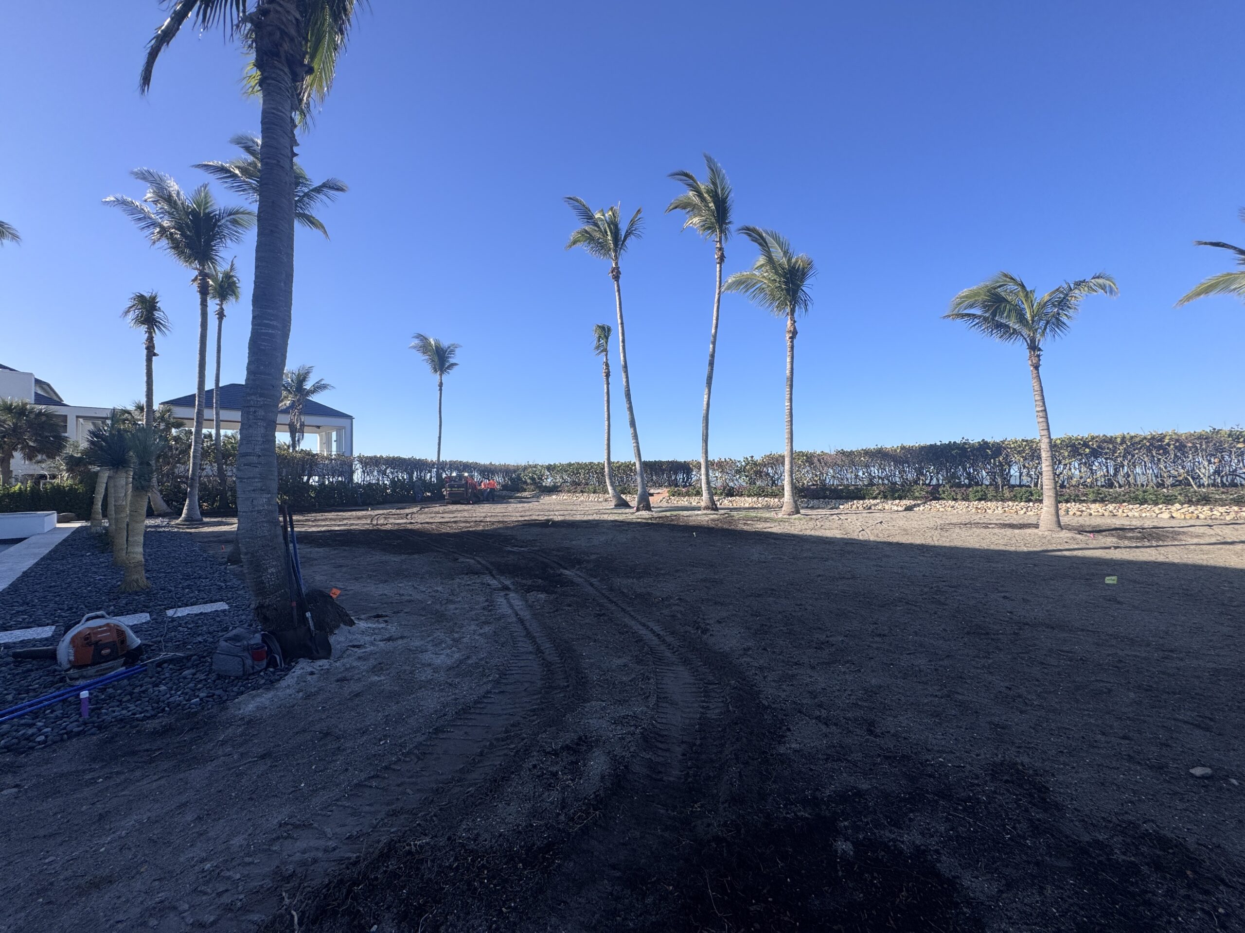 Backyard before dead grass removal and sod installation