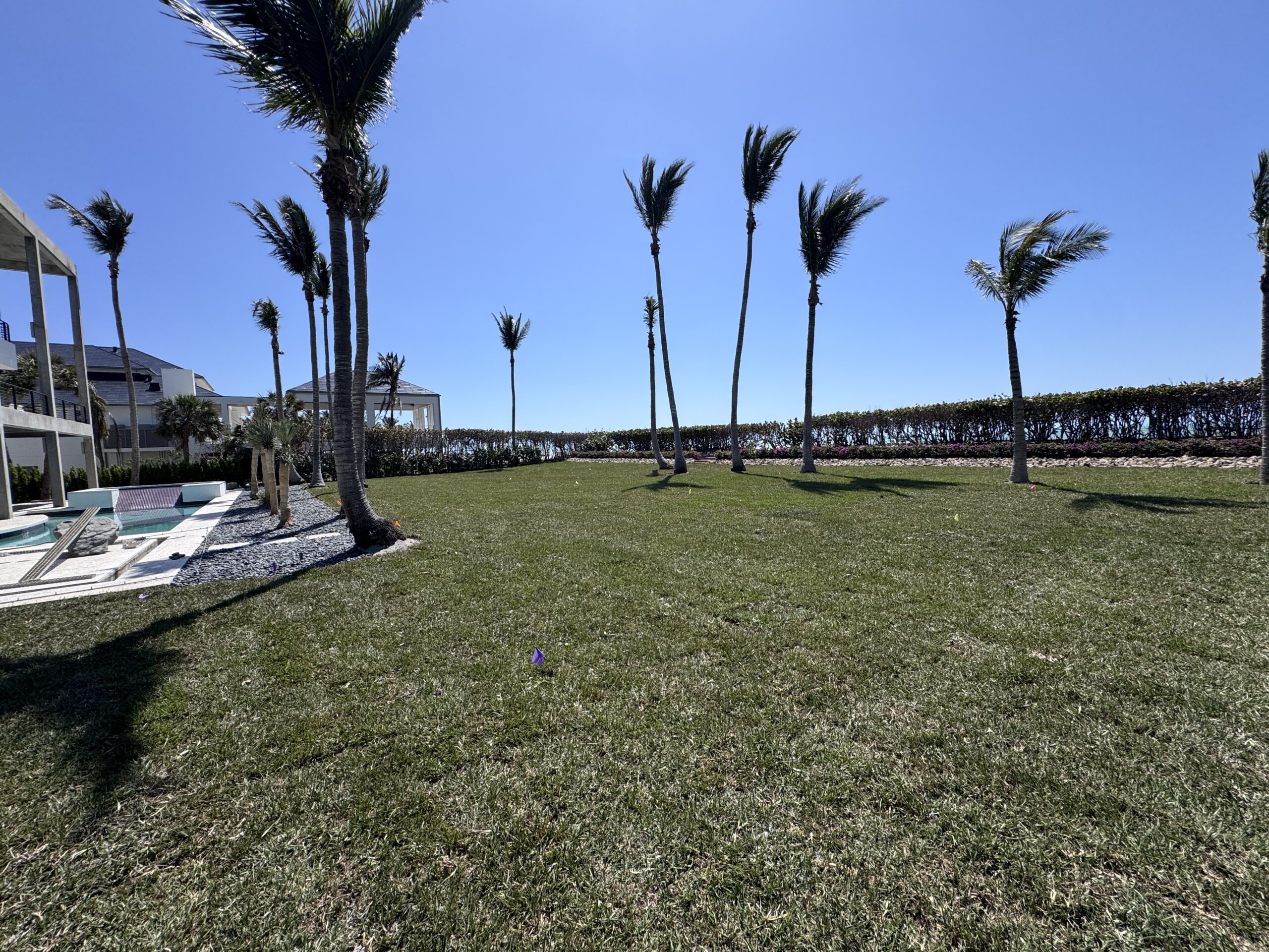 Backyard after dead grass removal and fresh sod installation