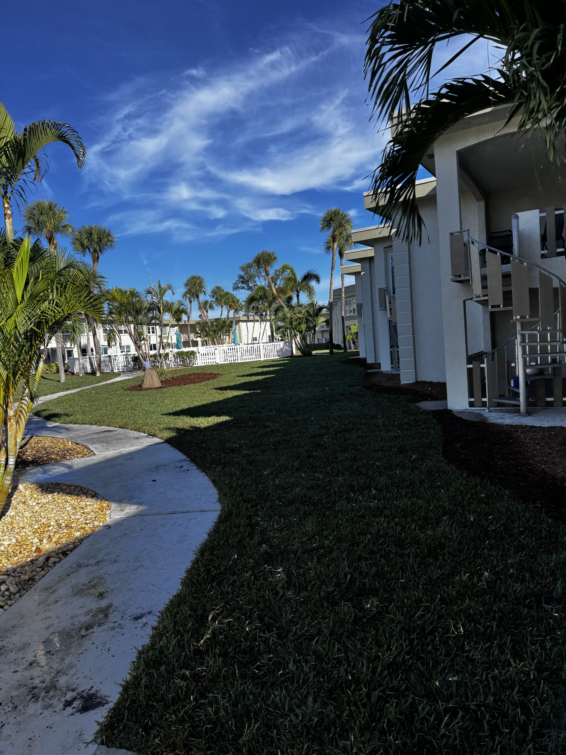 Property after professional sod installation