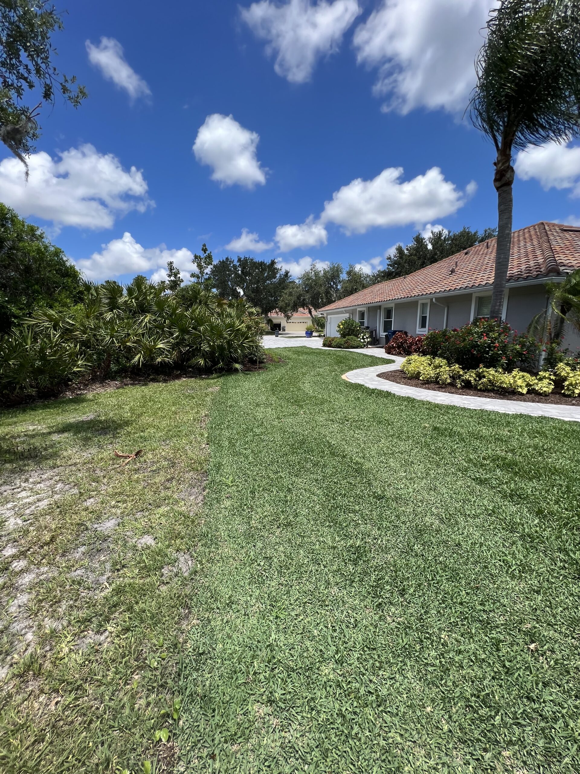 Finished residential lawn