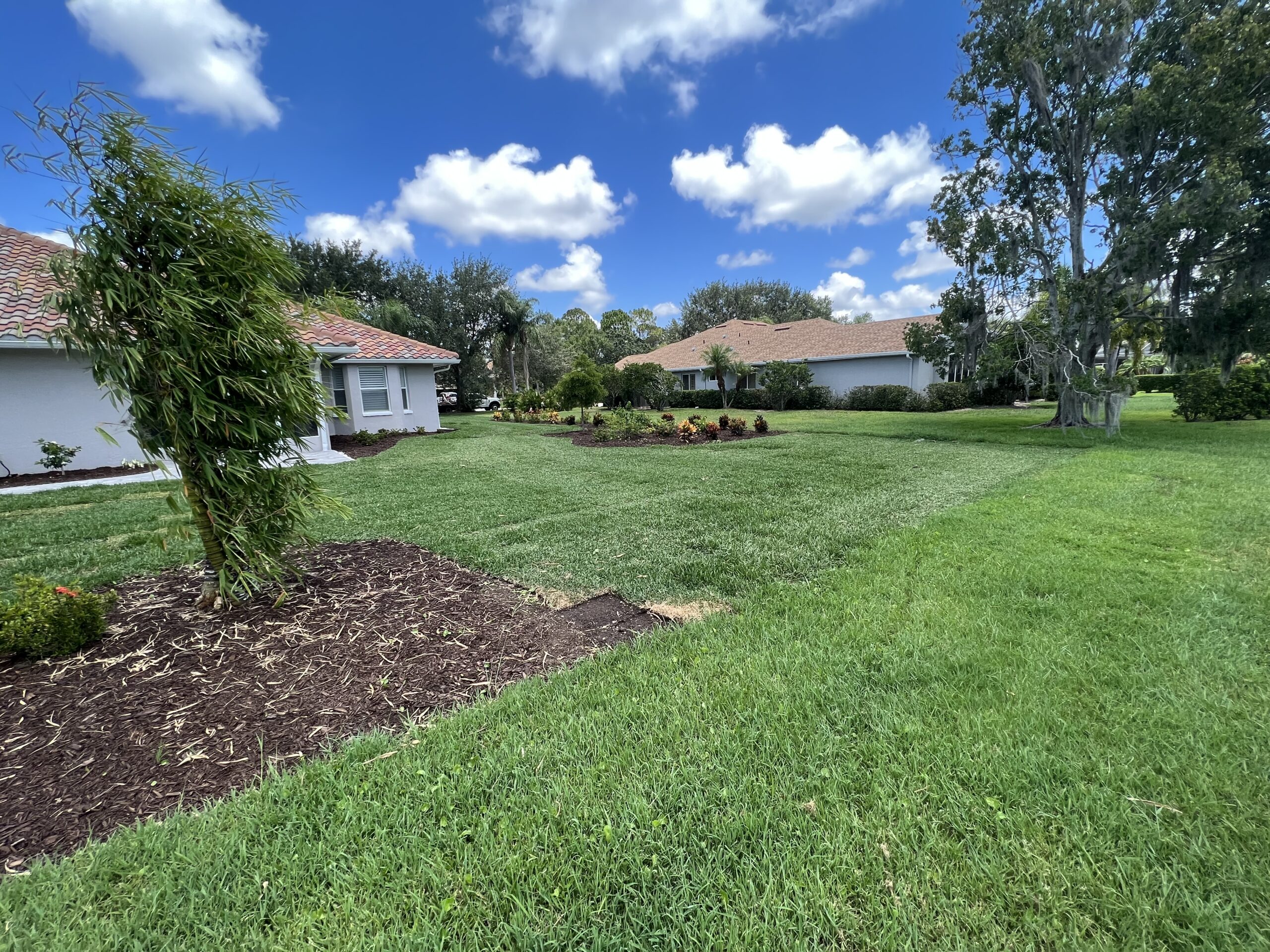 Hand-laying sod rolls on prepped yard