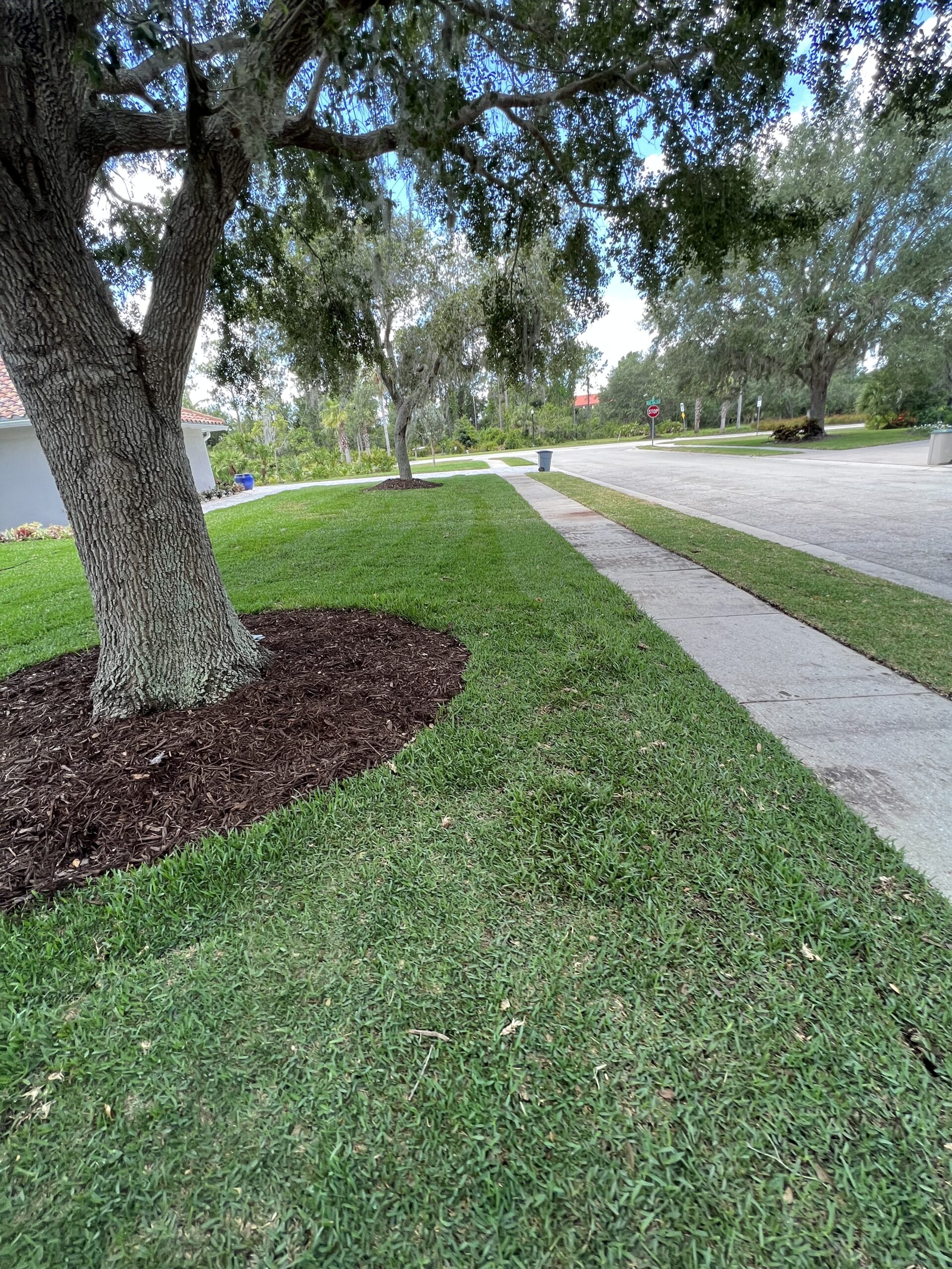Fresh sod pallets on delivery truck