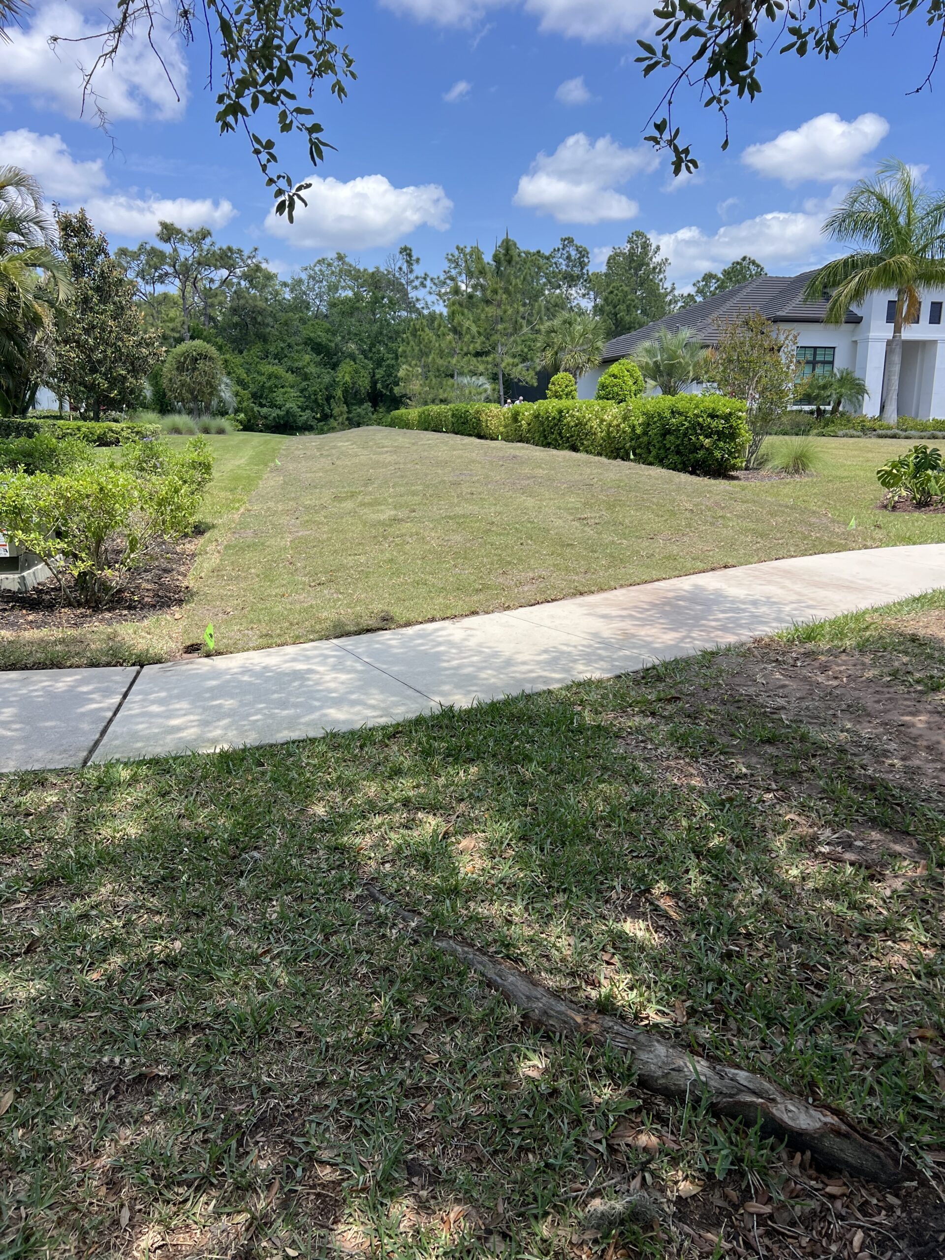 Prepped soil ready for sod