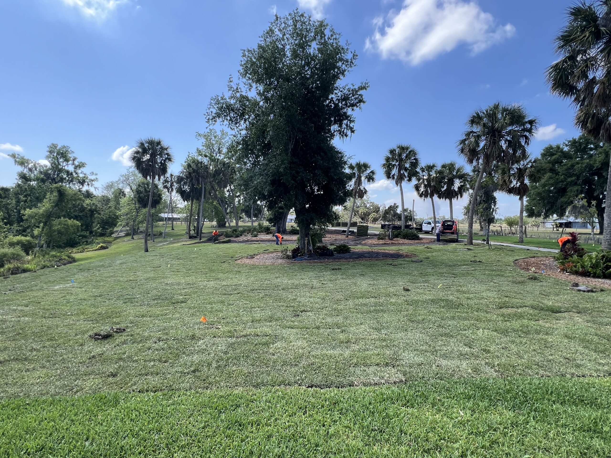 Commercial sod installation at a property development