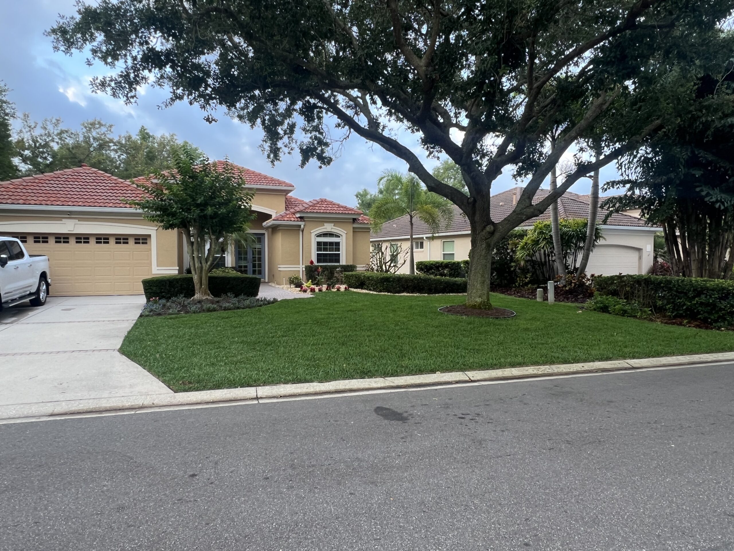 Freshly installed sod on a residential front yard in Lakewood Ranch